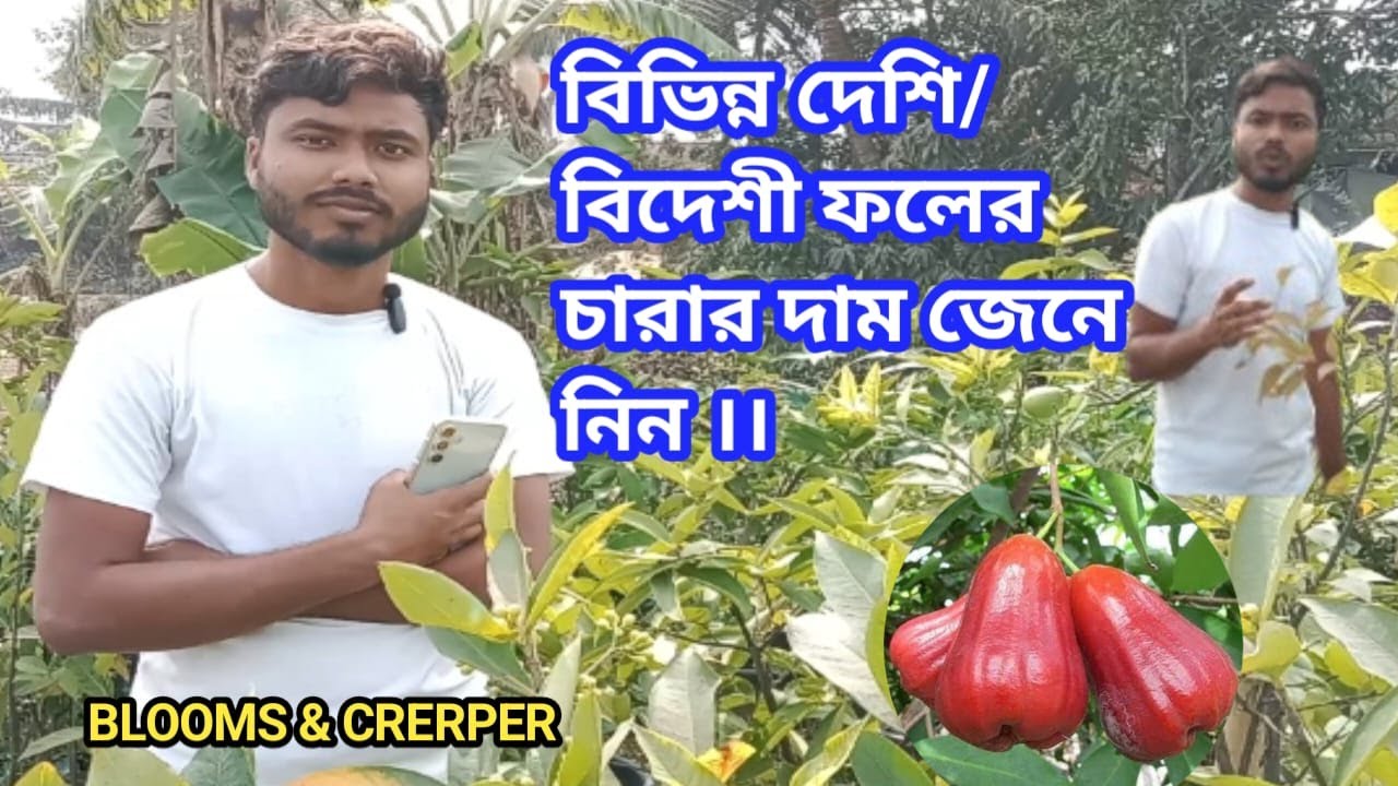 বিভিন্ন দেশি/ বিদেশী ফলের  চারার দাম জেনে নিন সবুজ বন্ধু নার্সারি থেকে ।।#plantcare #gardenshop