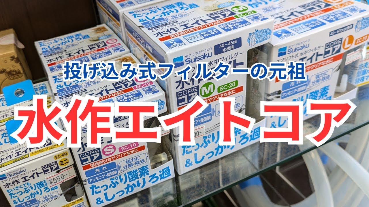 私が1番おすすめする投げ込み式フィルターをご紹介します！