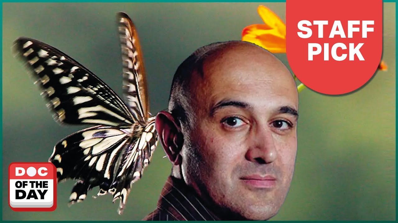 Exploring Chaos Theory: How Life Finds Order | Doc Of The Day