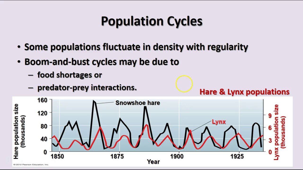 Ecology - Populations & Communities