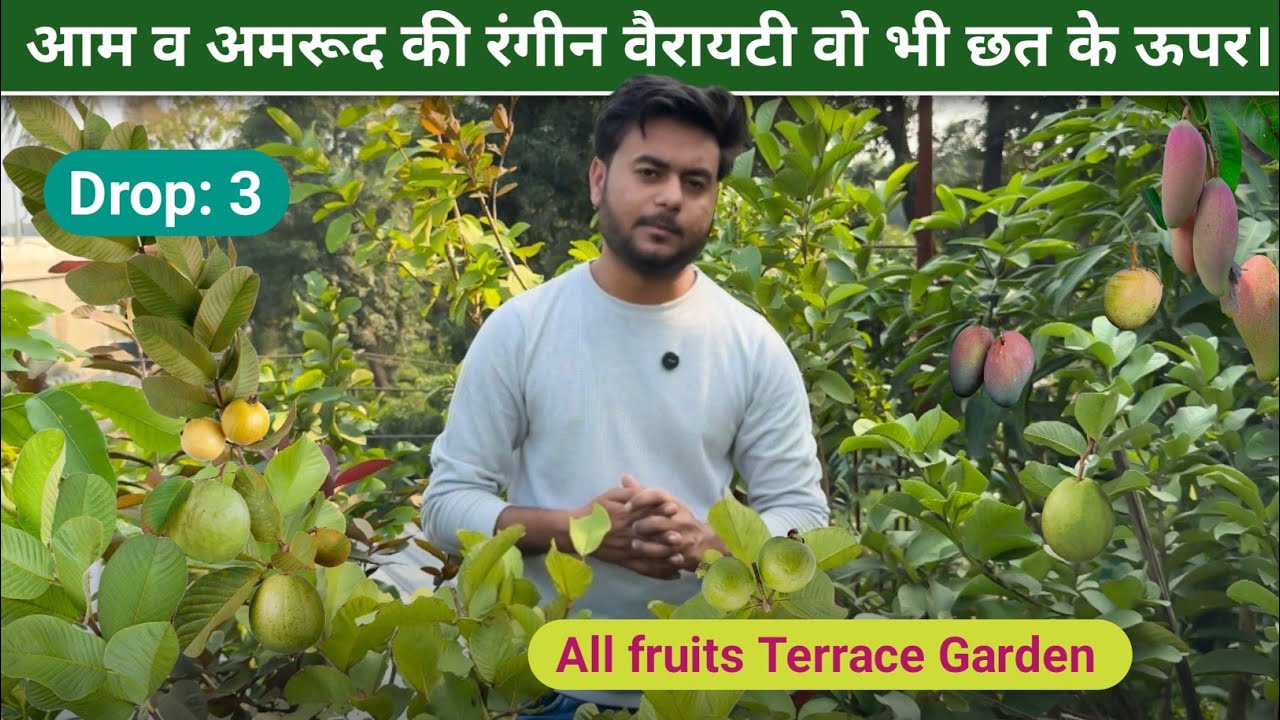 Drop-3 टेरेस गार्डेनिंग का ऐसा मॉडल जिससे बदलेगी आपकी सोच | Avadh Secret Garden | malihbad lucknow