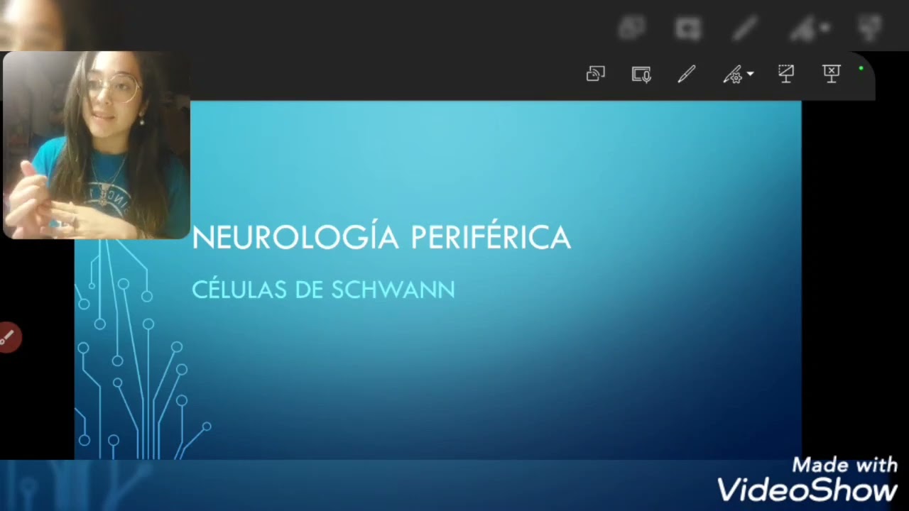 c&eacute;lulas de Schwann