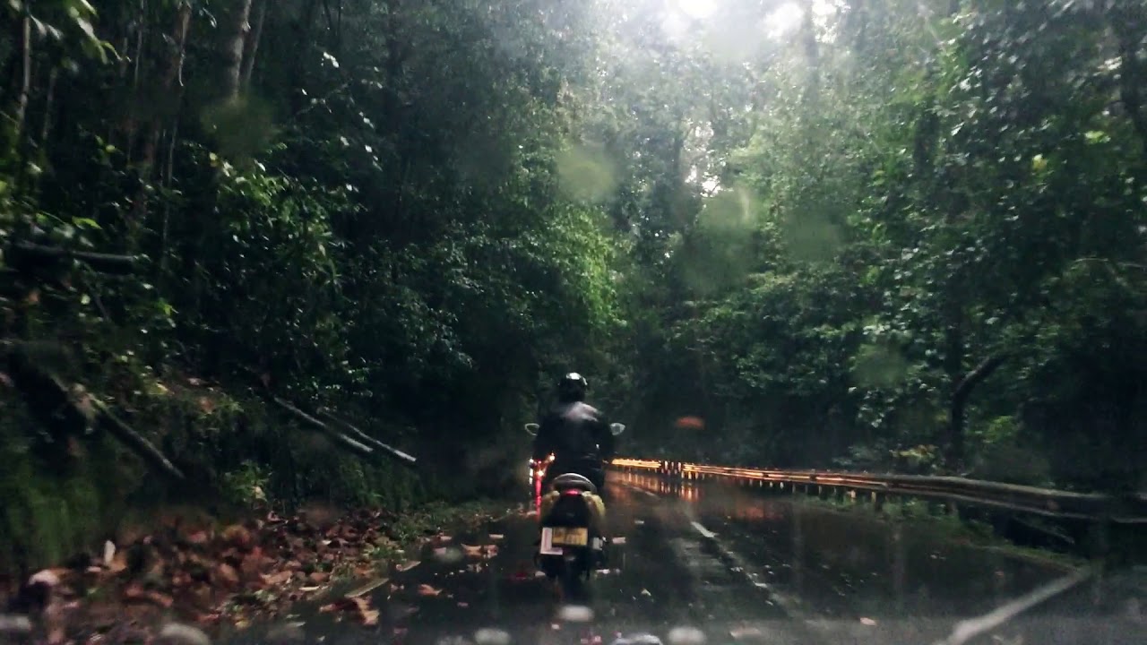 Kottawa Reserve Forest - Scenic Drive-through in the Rain
