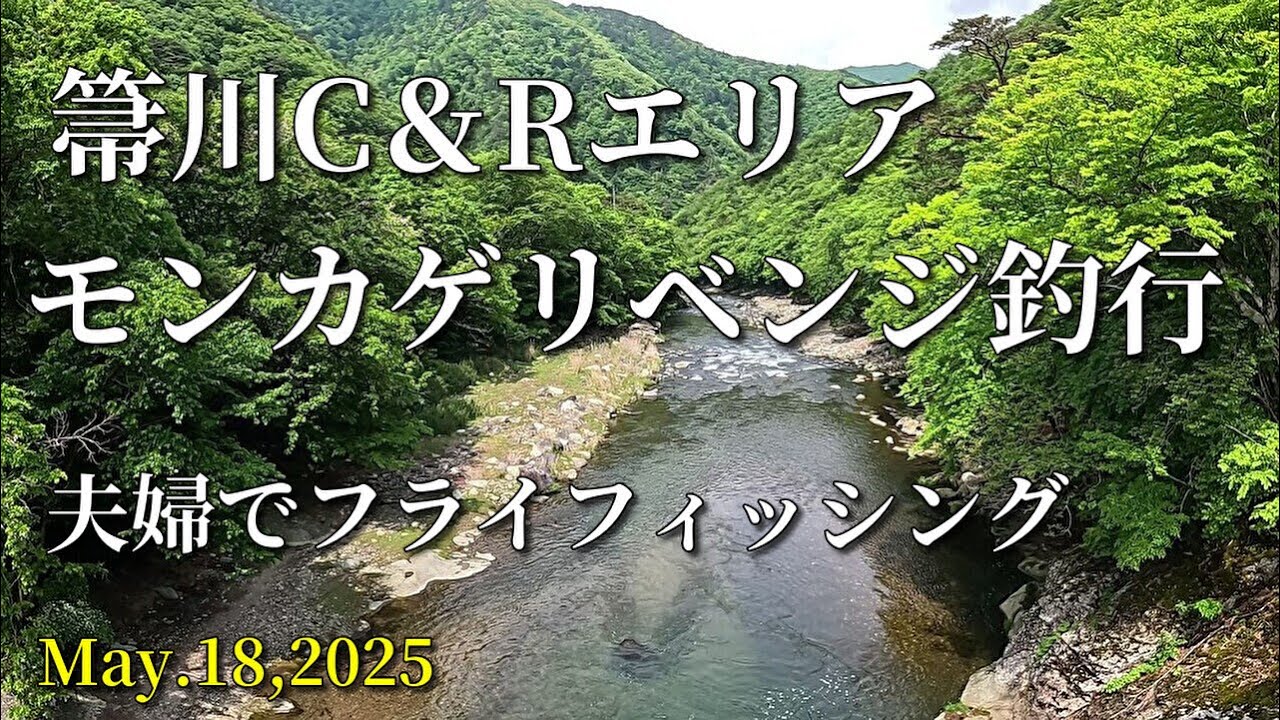 箒川C＆Rエリア/モンカゲリベンジ釣行/夫婦でflyfishing/2025-5-18