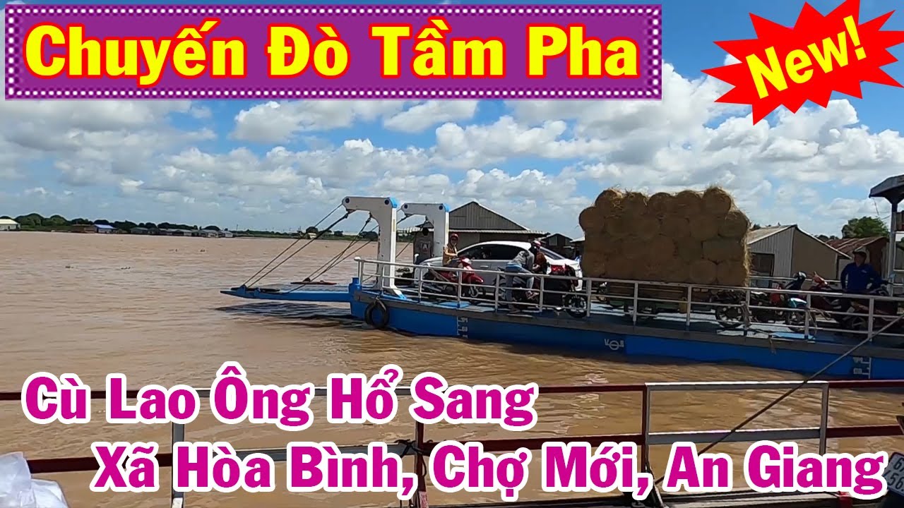 Chuyến Đò Tầm Pha - Cù Lao Ông Hổ Sang Xã Hòa Bình, Chợ Mới, An Giang