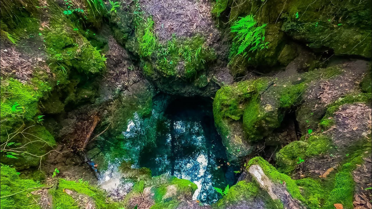 Exploring The Lower Suwannee River Basin in Florida