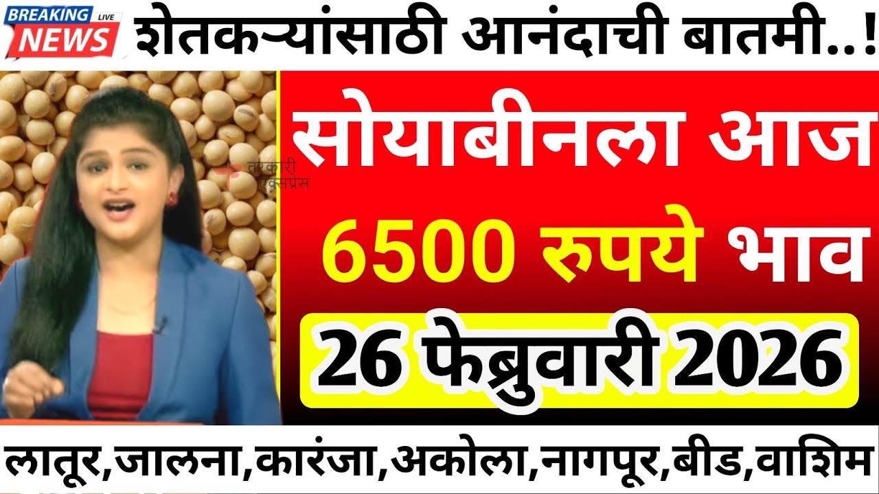 सोयाबीनला आज 6500 रुपये भाव| soyabean bajar bhav today|soyabean bhav today