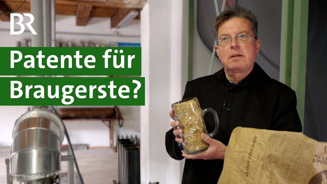 Patent auf Braugerste: Widerstand bei Gerstenz&uuml;chtern und kleinen Brauereien | Unser Land | BR