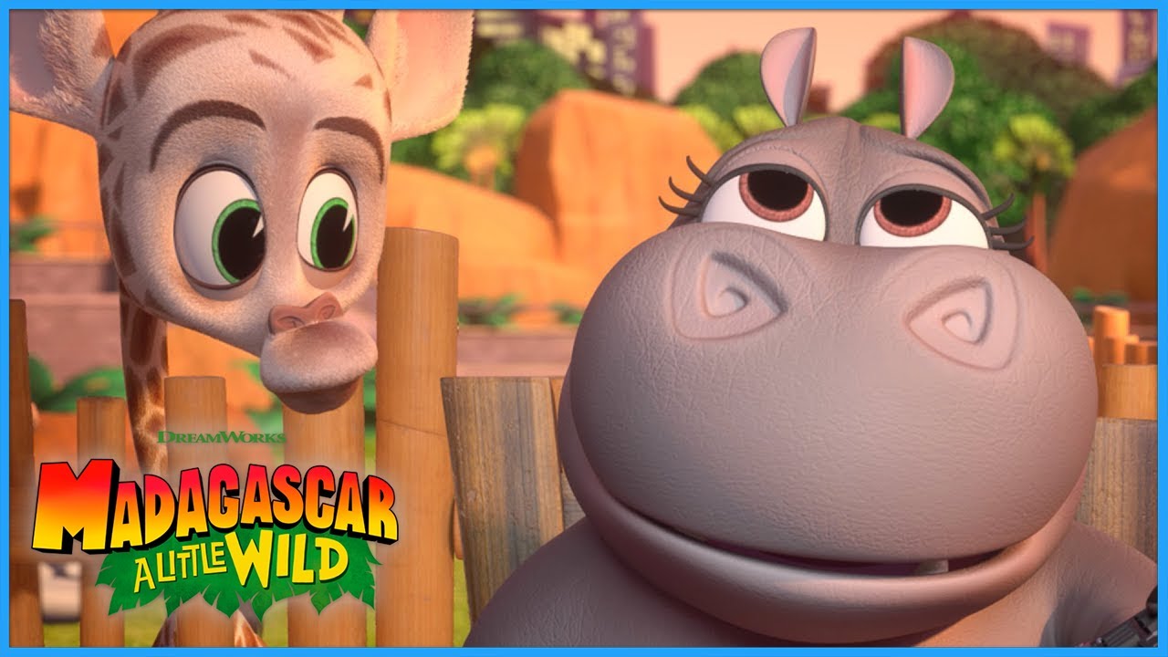 Gloria Get's Competitive! 🦛🏆 | DreamWorks Madagascar