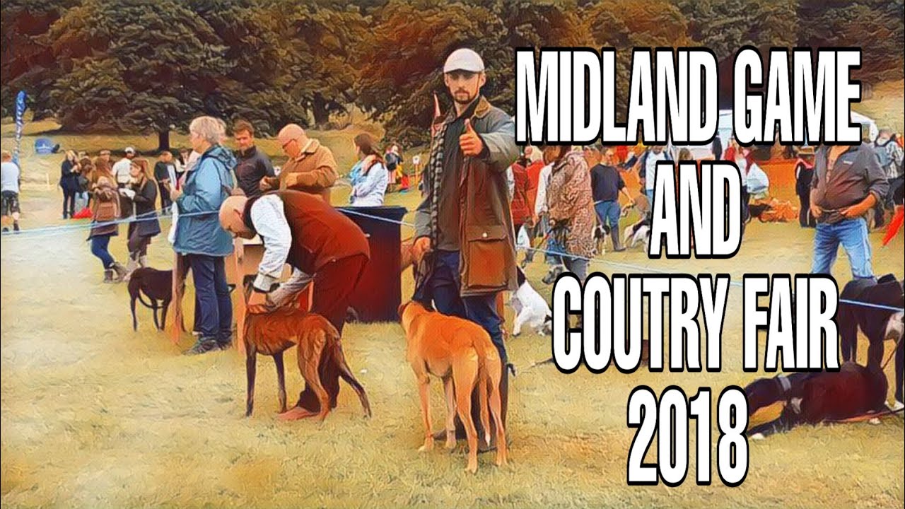 Midland game fair 2018 - Lurcher racing and final show winner