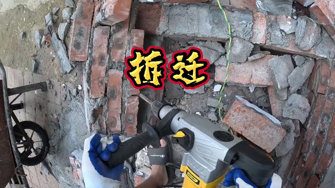 我家狗吵着要大房子，今天拆了再给它重盖一个！