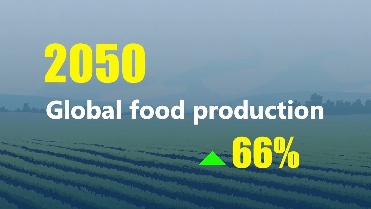Solar irrigation in Agriculture