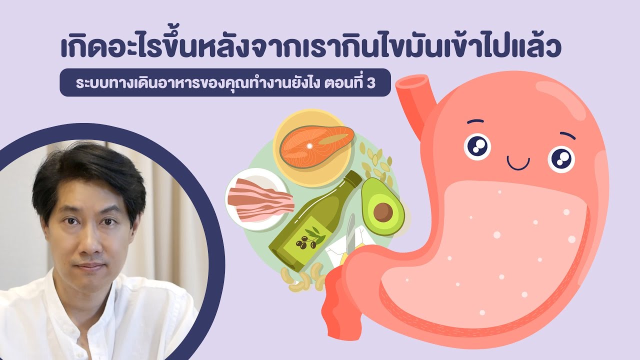 เกิดอะไรขึ้นหลังจากเรากินไขมันเข้าไปแล้ว ? : [EP56] เรื่องเล่าจากร่างกาย