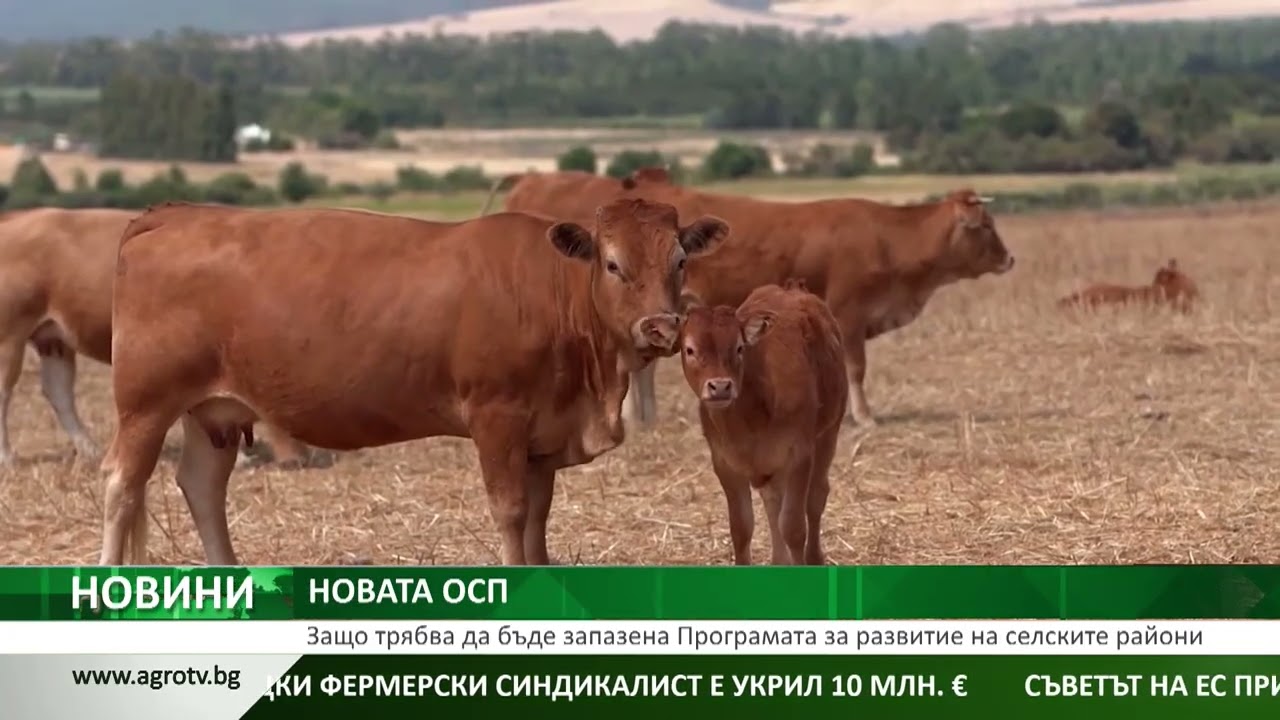 НОВАТА ОСП: Защо трябва да бъде запазена Програмата за развитие на селските райони