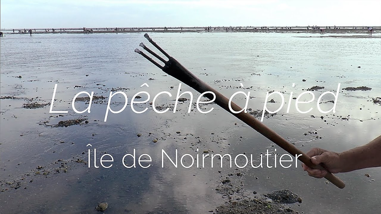 La pêche à pied Noirmoutier