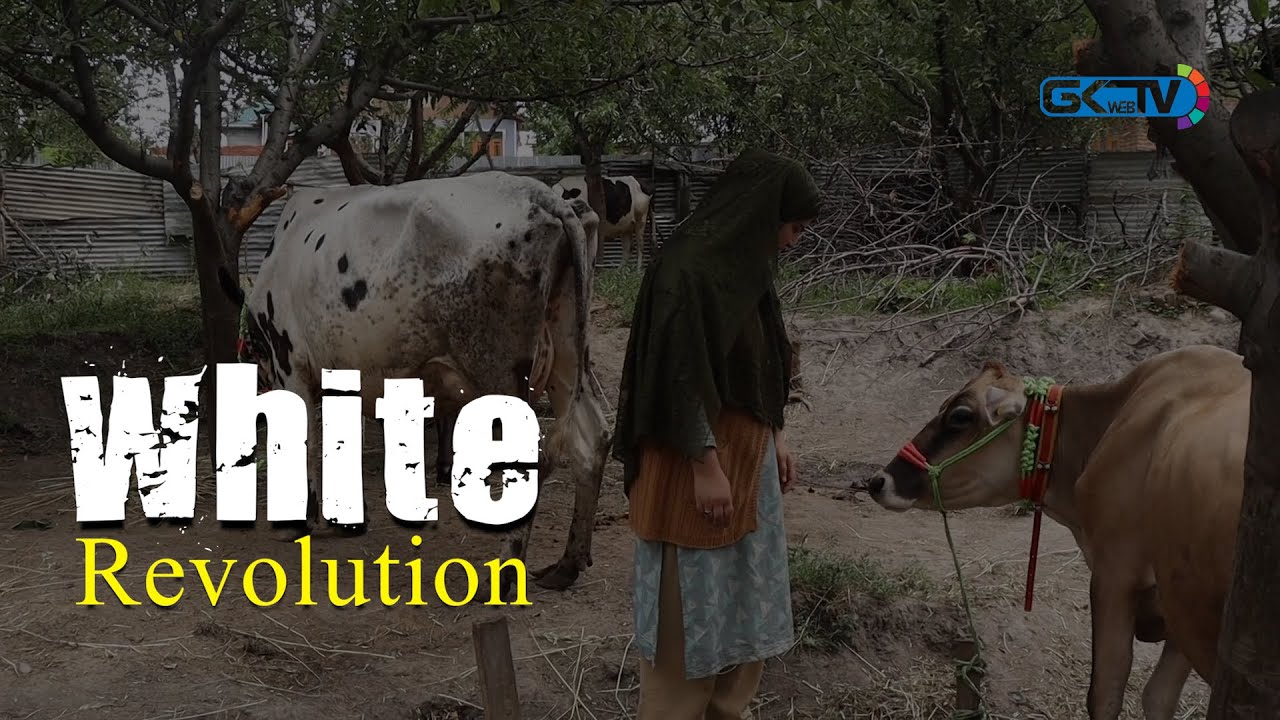 ‘White Revolution’: Shahzada Akhtar’s Story of Heroic Struggle and Eventual Triumph