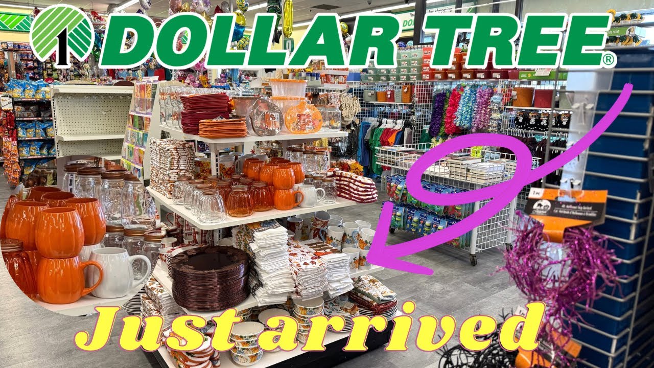 SHOP New Dollar Tree FINDS 