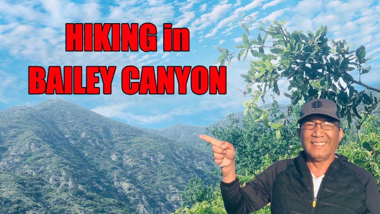 Hiking in Bailey Canyon Trail Alone