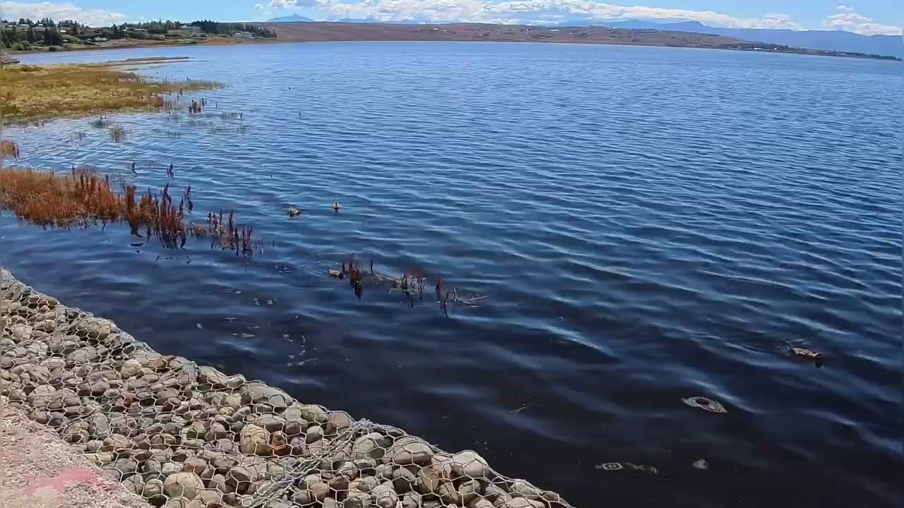 【アルゼンチン🇦🇷 ロスグラシアレス国立公園カラファテ】