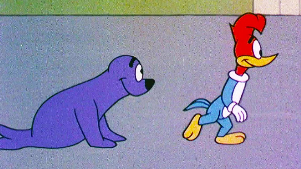 Woody Takes Care of Lost Seal | Woody Woodpecker