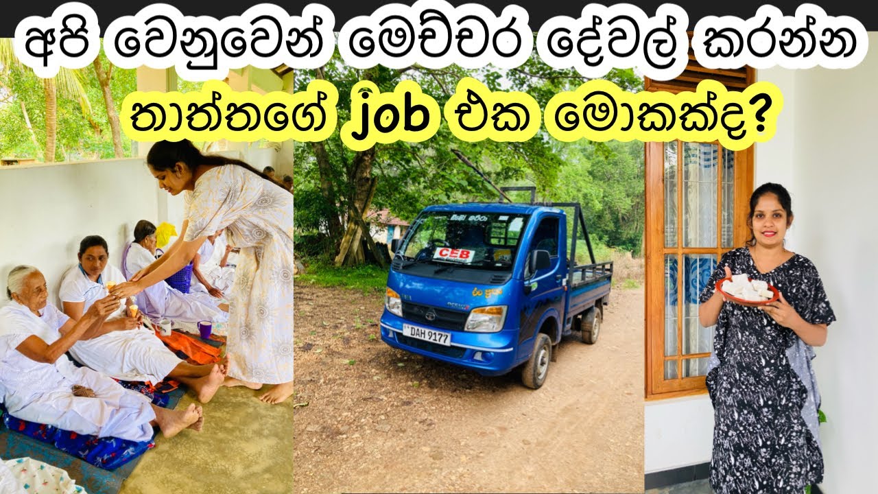 ලොරියකුත් අරන් තාත්තා මොනවගේ job එකක්ද කරන්නෙ? || Lifestyle Vlog || My Diary 