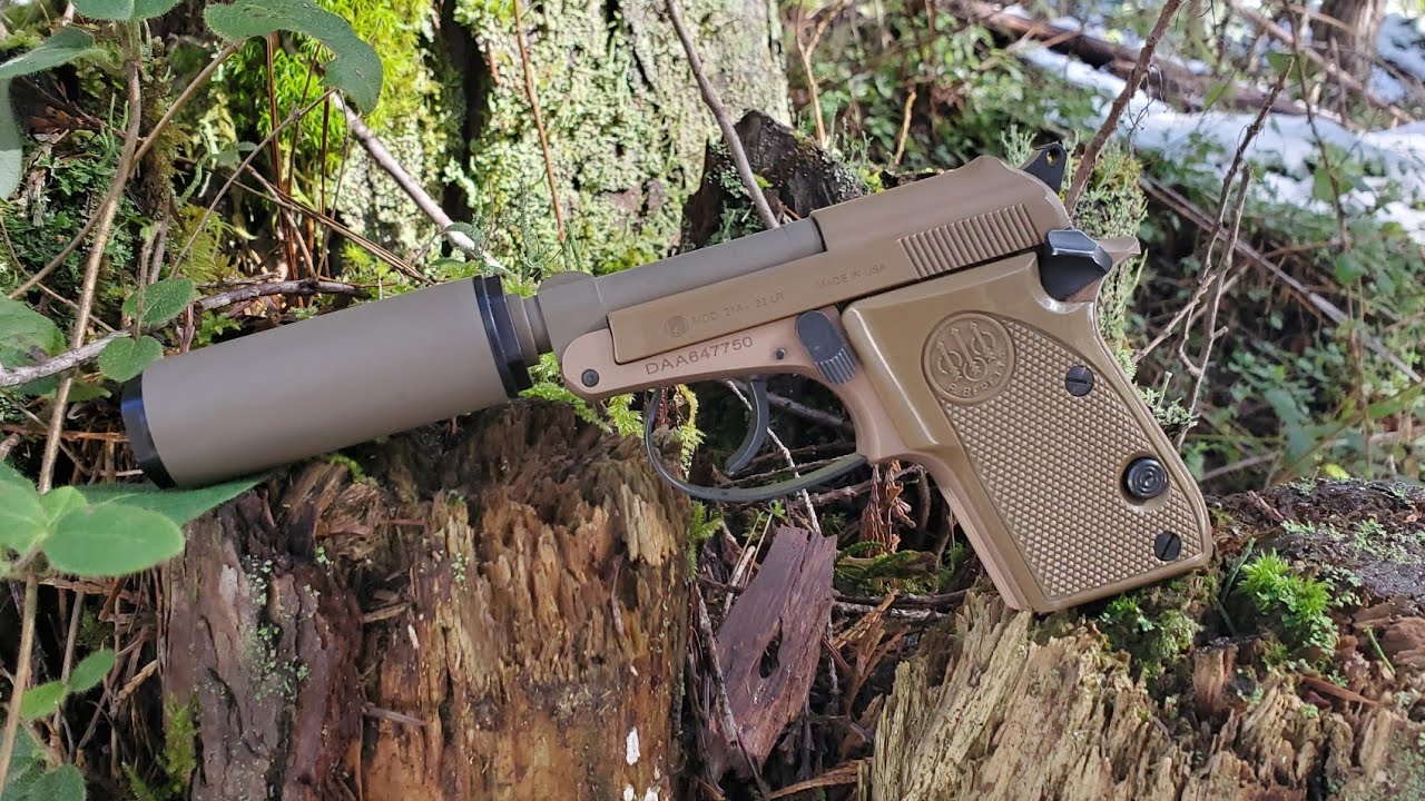 Beretta 21A Bobcat & Bowers Bitty