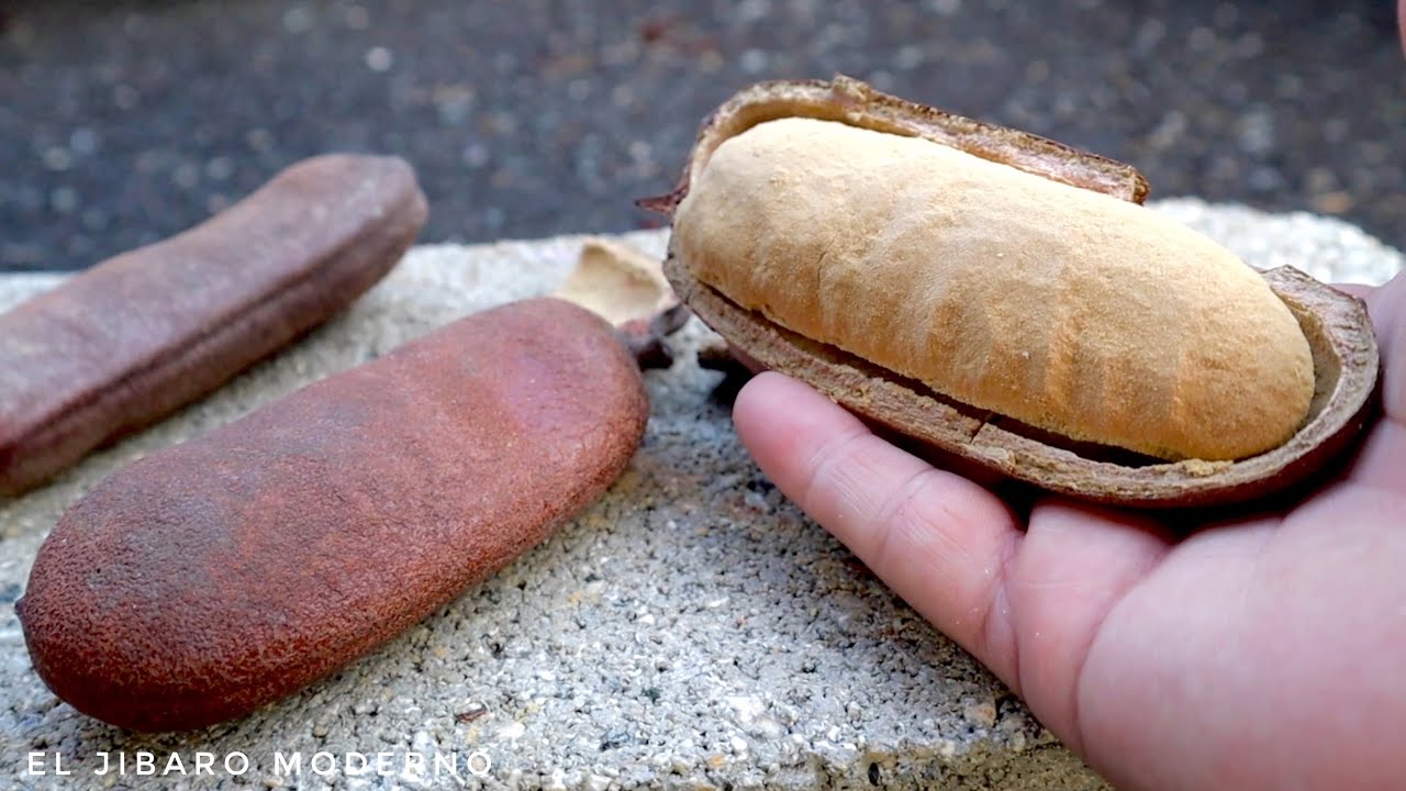 PROBANDO LA ALGARROBA FRUTA CASI EXTINTA EN PUERTO RICO