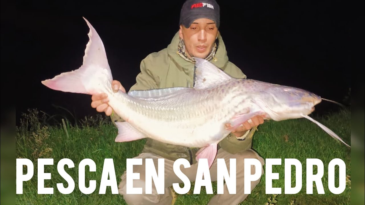 FUIMOS A SAN PEDROOO TERRIBLE PESCA EN LA ISLA DE MAXI🎣🔥🙏🏻 siguen saliendo las bestiaaaaaaas