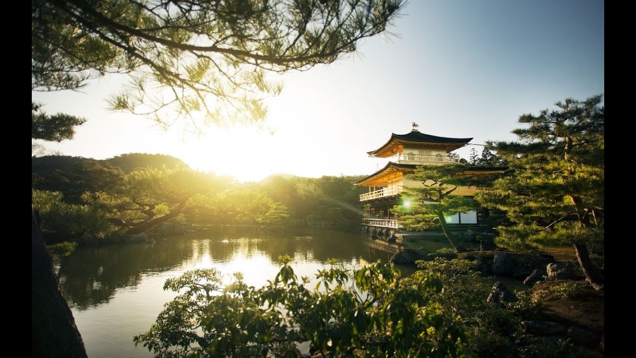 Calming Bamboo Soundscape to Relieve Tension and Quiet the Mind