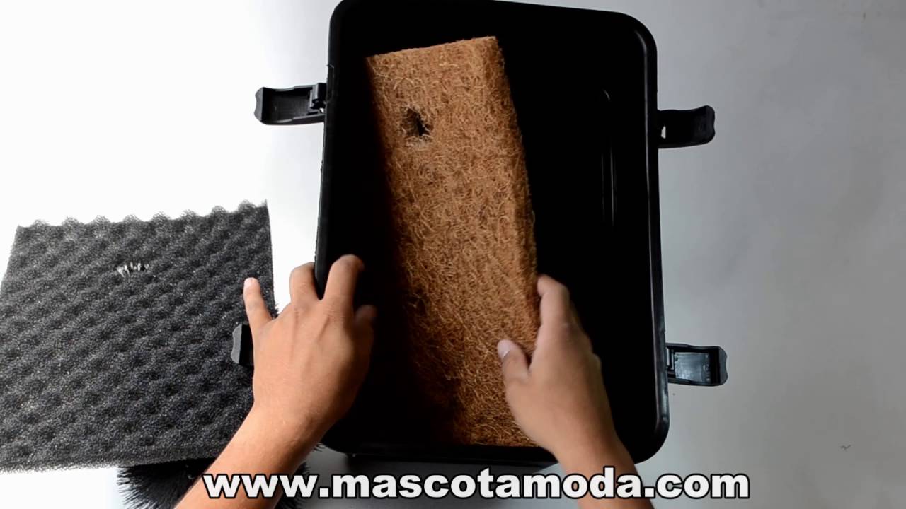 Filtros para estanque que son y cómo funcionan Quiyo Guayaquil Cuenca Ambato Manta Machala