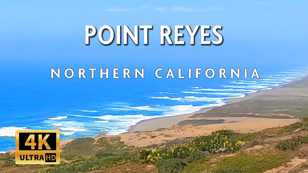 Exploring California Hidden Coastal Gem: Driving From Cypress Tree Tunnel To Point Reyes Lighthouse