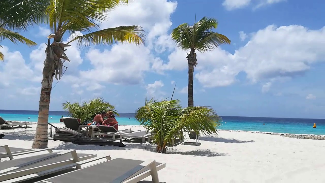 Delfins Beach Resort, Bonaire