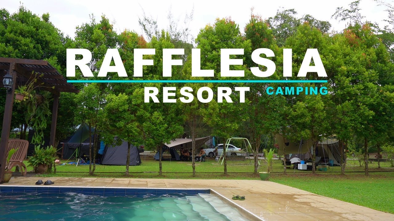 Camping | Rafflesia Resort | Tempat camping yang cantik, bersih dan paling best ada swimming pool