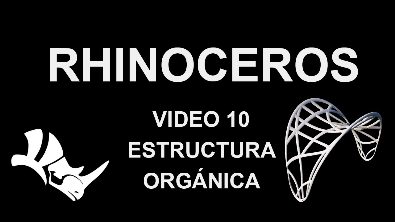 Rhinoceros clase 10 - Estructura orgánica