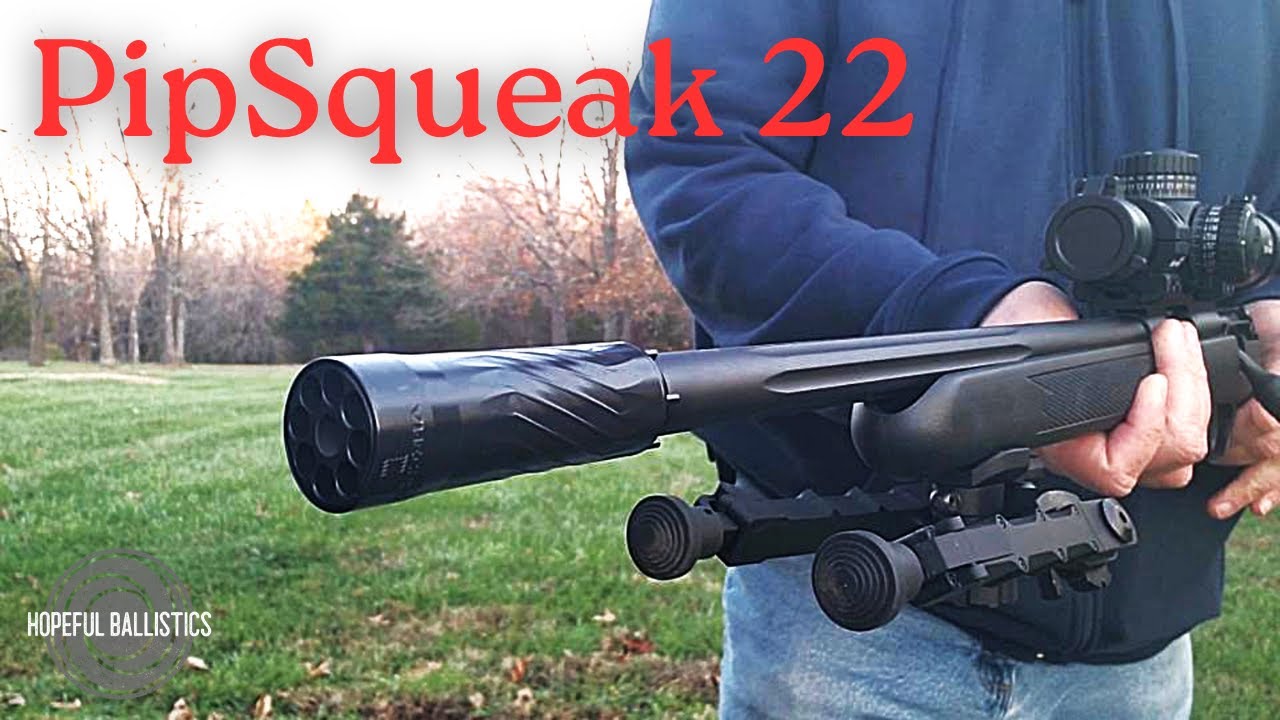 Обзор глушителя PipSqueak 22