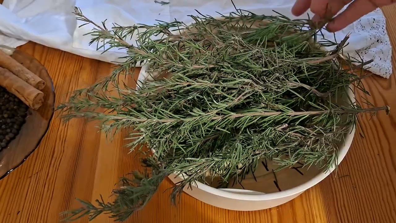 РОЗМАРИН, КАК ИСПОЛЬЗОВАТЬ!!! ПИТАНИЕ ДЛЯ ЗДОРОВЬЯ!!!#🌱🌱🌱🏝🏝🏝🏝🌙⭐️