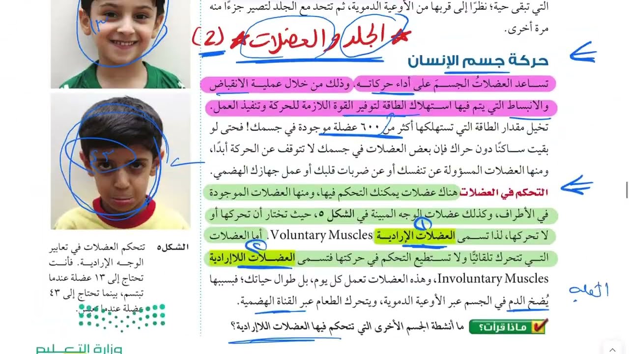 الجلد والعضلات (٢) علوم ثاني متوسط 1445