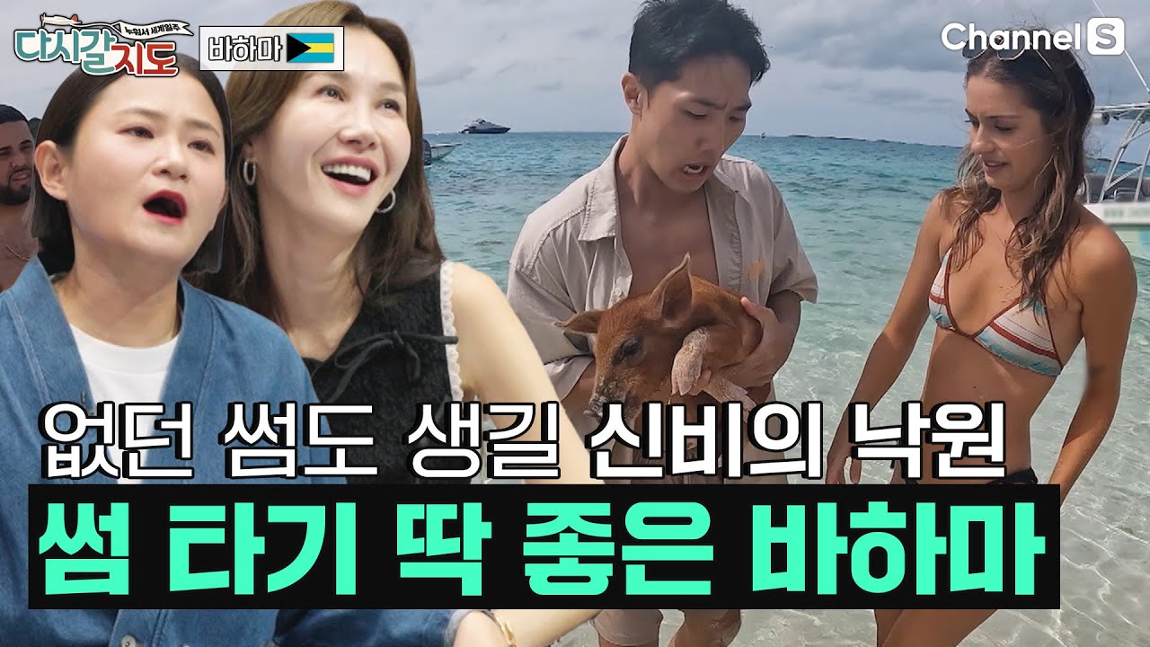 여기가 썸이 시작되는 곳인가요? 신비의 낙원🏝️ 바하마의 필수 코스 '엑수마 투어'ㅣ89회ㅣ#다시갈지도