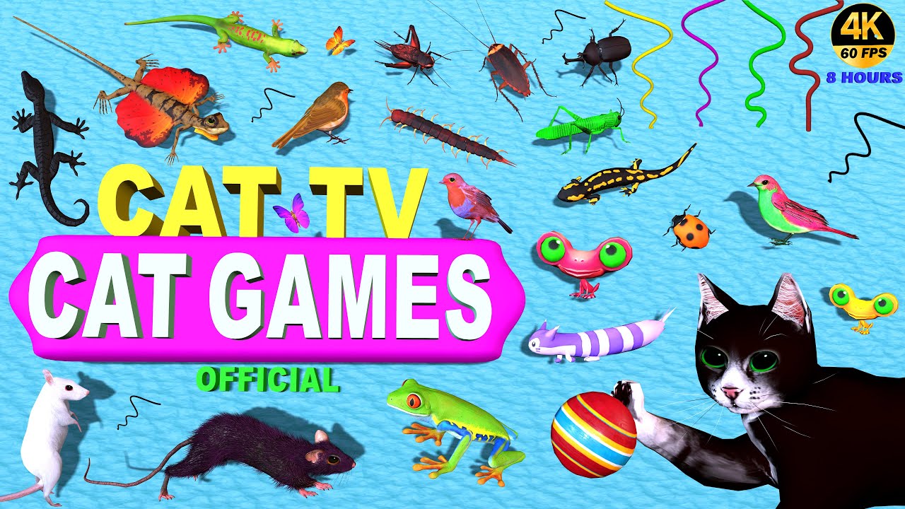 CAT GAMES | CAT TV: CATCH THE ULTIMATE FELINE'S FAVORITE CHARACTER ON SCREEN | FOR CATS TO WATCH 😻