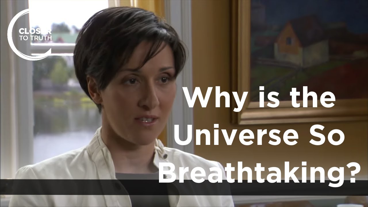Fotini Markopoulou - Why is the Universe so Breathtaking?