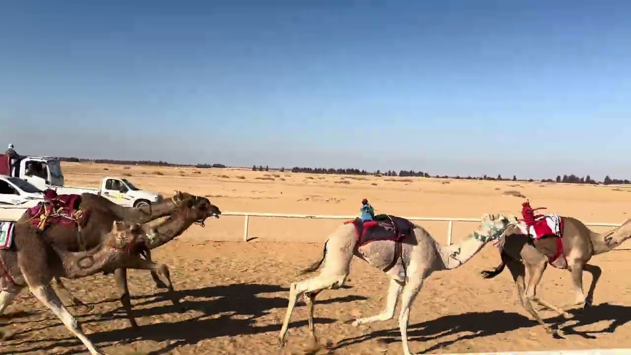 طريف سلمان عبدالله العطوي