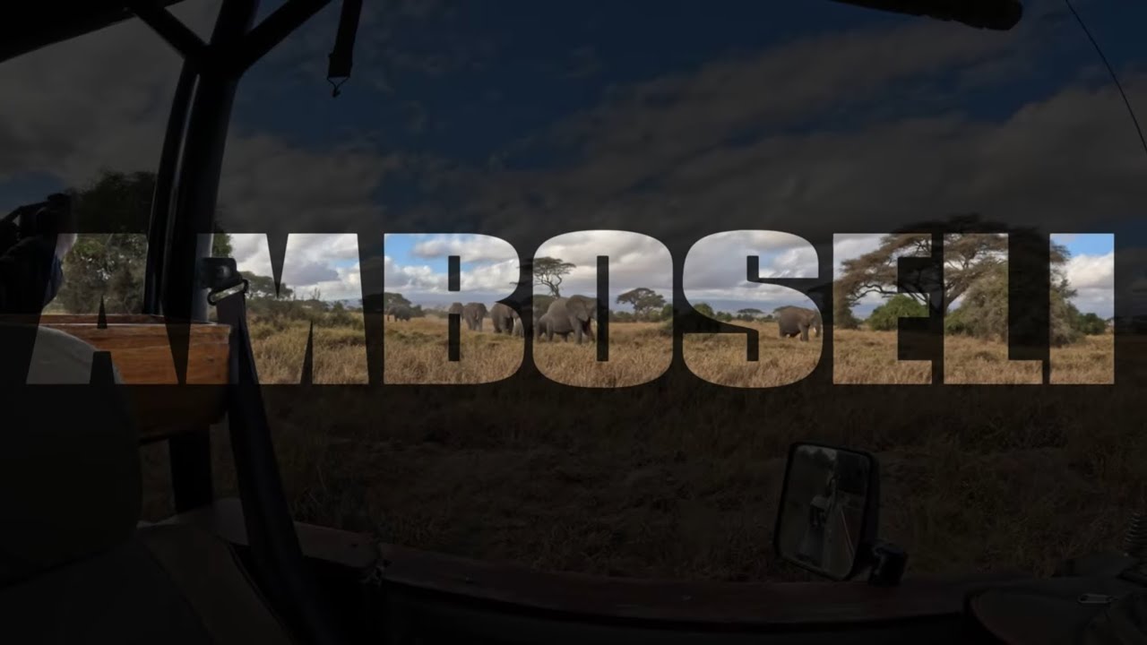 Amboseli National Park Safari 🇰🇪