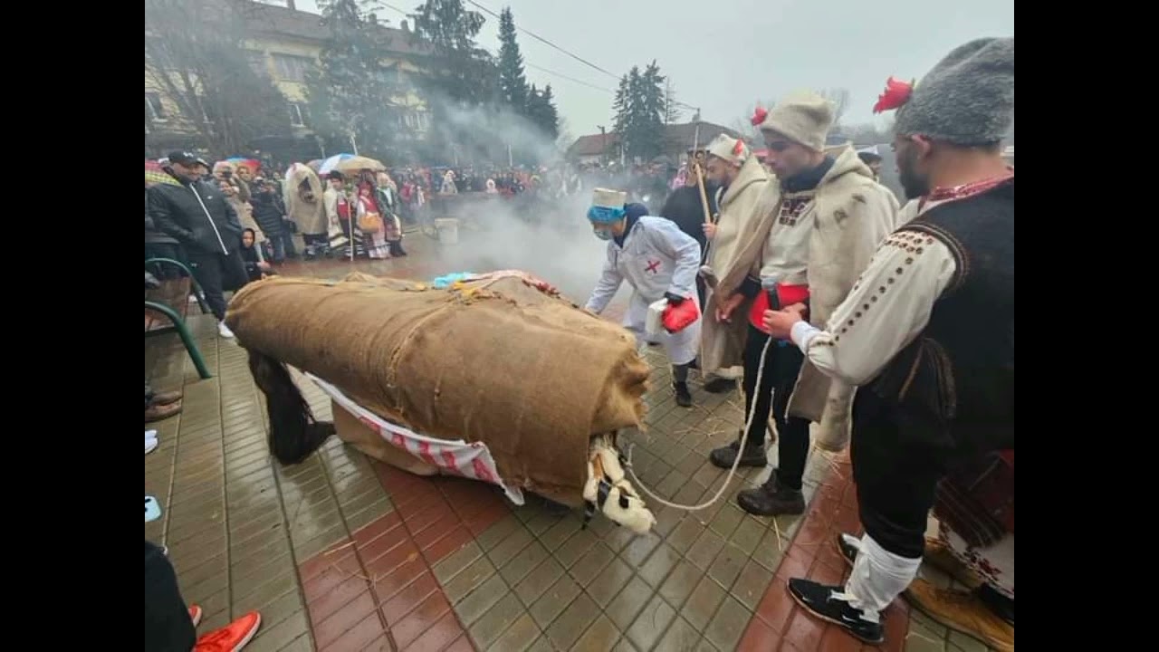 Ивановден Град Тръстеник 2024г Ивана