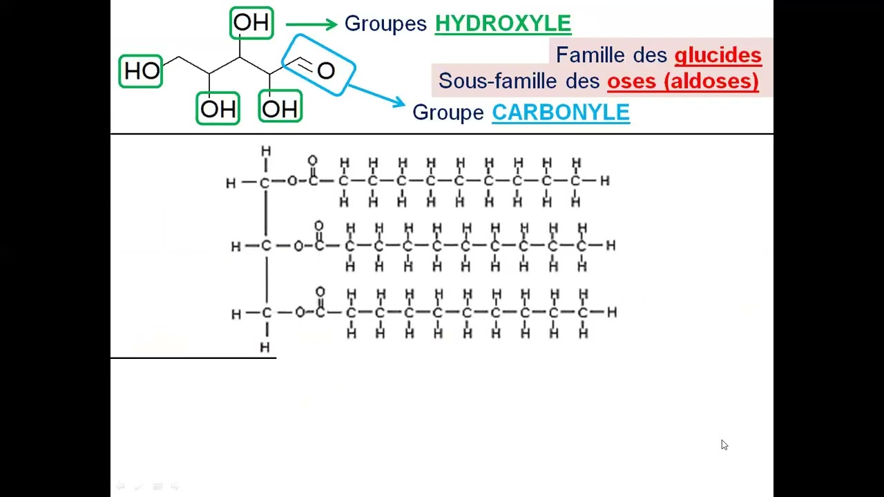 BCPST 1 - TD Chimie 03 - Corrigé de l'exercice 01