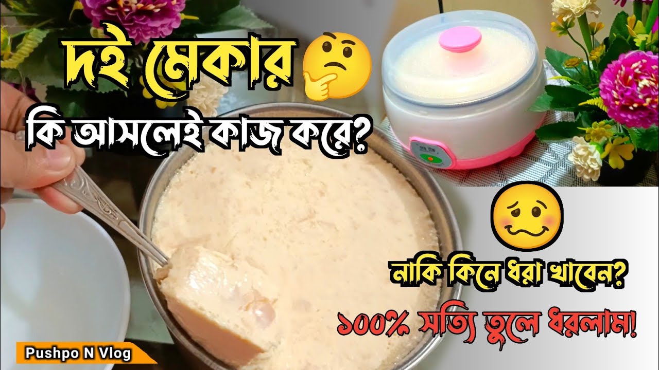দই মেকারে কিভাবে দই বানাবেন? ইলেকট্রনিক দই মেকার প্রসেস | Electric Doi Maker |