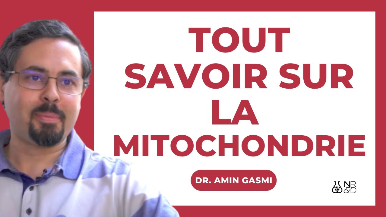 Tout sur les mitochondries, L'interview complète