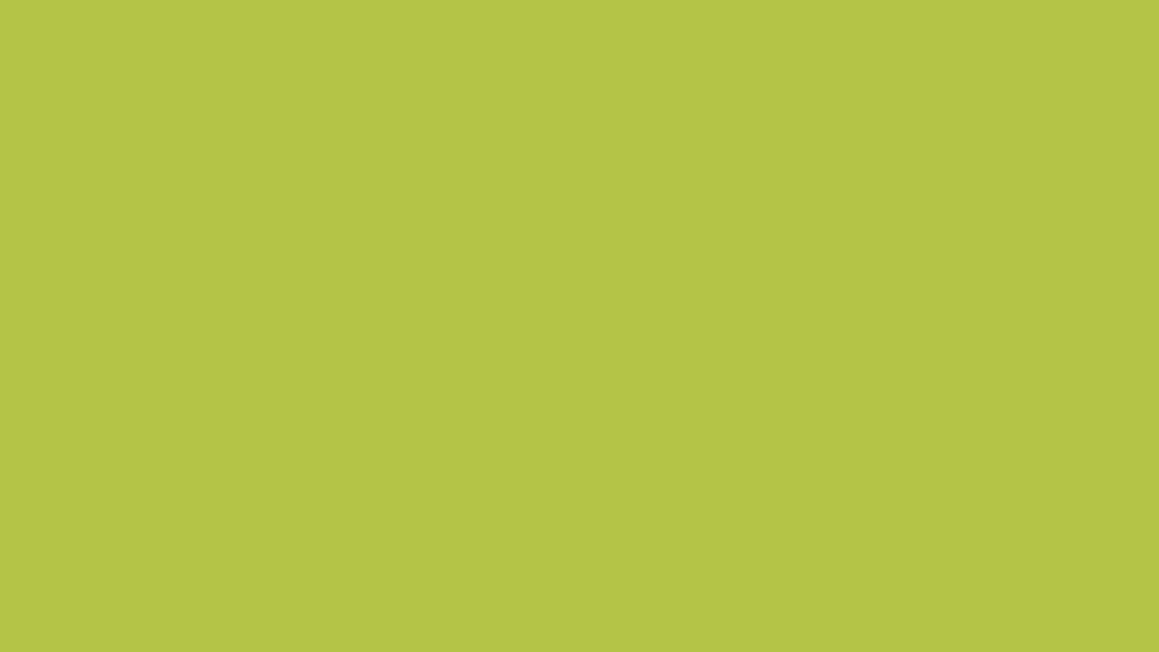 background green avocado hijau alpukat screen avocado 