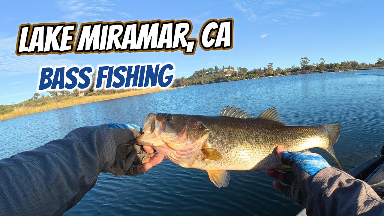 Bite is starting to warm up! {Lake Miramar Bass Fishing)