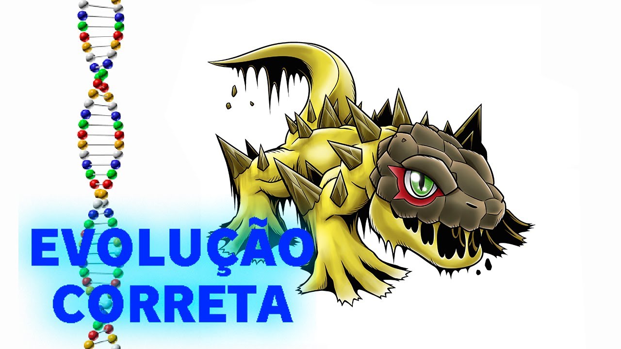 Sunarizamon - Evolução Correta