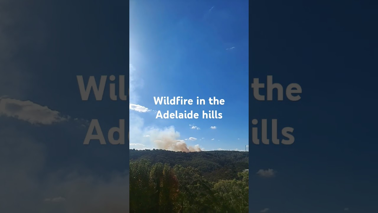 I discovered a wildfire in the Adelaide hills 
